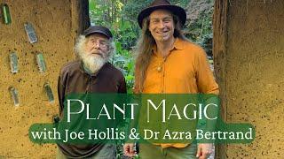 Plant Magic - Conversation with Joe Hollis & Dr. Azra Bertrand | Mountain Gardens