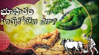 Importance of Soil Fertility and ways to improve it || TFS Sagubadi #suryabhaskar