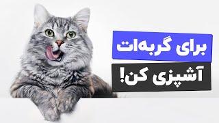 چطوری بهترین غذای خونگی رو برای گربه ها بپزیم؟