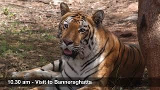 Bangalore Full Day Trip Package from KSTDC