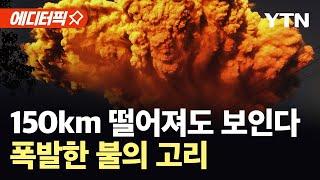 [에디터픽] 150km 밖에서도 보인다…'버섯구름 화산재'에 항공편 줄줄이 취소 / YTN