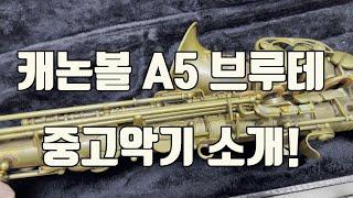 (판매완료)파워풀한 소리의 매력! 캐논볼 A5-브루테 알토색소폰 중고악기 소개!