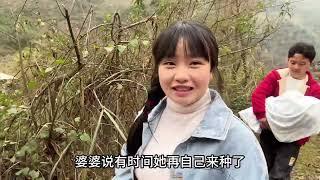 这婆婆也太勤快了，翻新10年前的田地，又种满各种瓜果， 婆媳俩干劲满满#乡村生活家 #农村生活#新农人计划2025