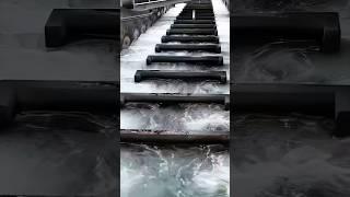 River staircases for spawning fish 