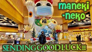 MANEKI-NEKO CHANG | THE JAPANESE LUCKY CAT | #nancydichannel