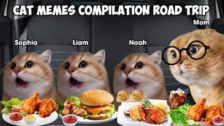 Cat Memes Compilation Road Trip