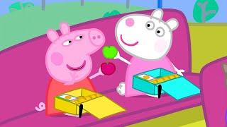 The School Trip!  | Peppa Pig Official Full Episodes