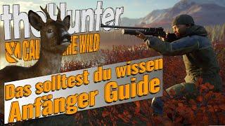 Der ultimative Anfänger Guide - Das solltest du Wissen | theHunter Call of the Wild | PantoffelPlays