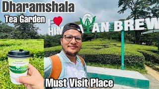 Mcleodganj-Tea Garden - Dharamshala | Beautiful place In Dharamshala​⁠​⁠@nomadraja2369