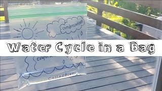 Simple & Easy Hands-on Science | Water Cycle in a Bag