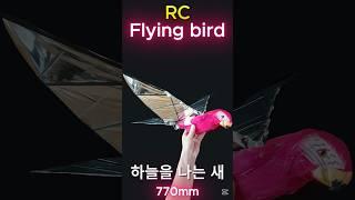 Flying Bird _ 하늘을 나는 새 770mm _ Ornithopter #shorts #ornithopter #오니쏩터 #robotic_bird #rc_bird #rc엔진