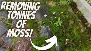 Moss, Moss and MORE Moss! - 20 Years Of GRIME?!