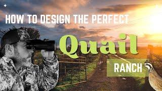 Quail Habitat. What elements are needed for a ranch to be successful.