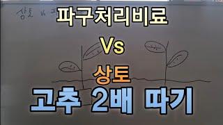 2배수확하기#안보시면  정말후회하는 정보