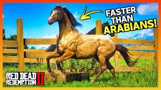 Top 5 FASTER Horse Than Arabains (Location & Rankings) - RDR2