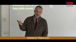 L'organizzazione vista dalle piante - Stefano Mancuso