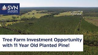 Bardin Tree Farm | 51.41 ± AC | Investment Opportunity | Timberland | FOR SALE in Palatka, FL