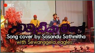 Udawadiya male ( උඩවැඩියා මලේ ) Song cover by Sasandu Sathmitha with Sewanagala eagles