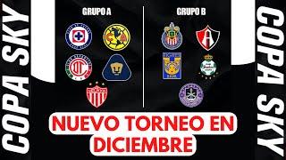 LA NUEVA COPA SKY EN MÉXICO EQUIPOS - FECHAS - SEDES