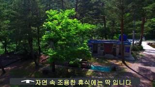 강원도 정선 캠핑장 - 자연 계곡과 그늘이 좋은 휴양 캠핑장 설래림 야영장