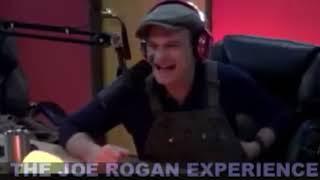 Joe Rogan Experience #333   David Lee Roth