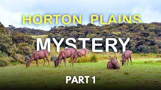 Horton Plains National Park | Part 1