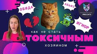 ТОКСИЧНЫЙ ХОЗЯИН | Почему нельзя игнорировать кота | Ошибки владельцев кошек