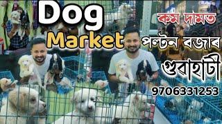 dog market in guwahati | কম দামত পাব home breed | pets wholesale market in guwahati |