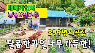 No.768 1억미만 밀양시골집 급매가 매매가 인하! 우리집 뒷산에 과일나무가 한가득~마당은 유기농 채소밭 서까레있는 햇살가득 남향집 #밀양촌집매매 #밀양전원주택매매 #밀양부동산