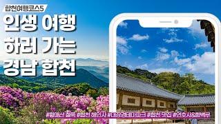 경남 합천에서 인생여행하고 왔습니다. 반드시 가봐야하는 합천 여행코스 5 / 철쭉이 만발한 황매산과 해인사 그리고 맛집까지 소개해드립니다.