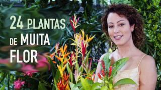 24 PLANTAS de MUITA FLOR pro JARDIM: perfeitas pra PAISAGISMO