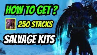 How to Turn This Item into 250 SALVAGE KITS Stacks ? | GW2 QUICK GUIDE