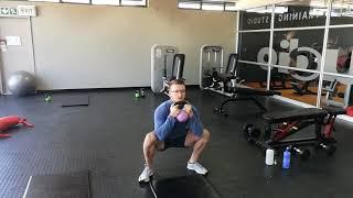 Goblet Squat to Ski Shifters