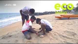 Eco India: Why are Puducherry's beaches fast disappearing?