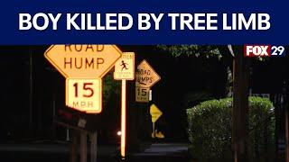 12-year-old boy killed by falling tree limb in New Jersey