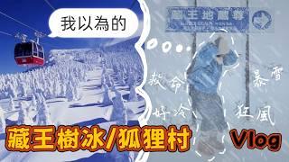 【魚乾】根本災難...仙台藏王樹冰、狐狸村確定還要去嗎？