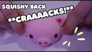 ASMR Squishy Tingle Appointment! (back cracks and massage)