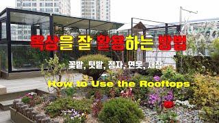 옥상공간을 잘 활용하는 방법(How to Use Roof Space)