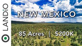 LANDIO • SOLD • 85 Acre New Mexico Ranch for Sale bordering BLM Land