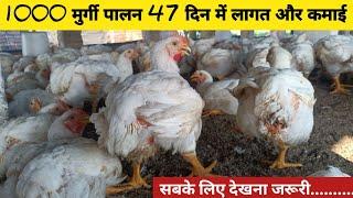 1000 Murgi Palan Karne Me Kitna Kharch Aaya ? 47 Din Me Kitna Profit Hua ? Poultry Farming Profit ?