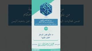 فتاوى