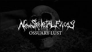 New Skeletal Faces - Ossuary Lust - official video (taken from Until The Night)