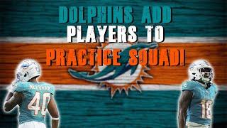 Miami Dolphins Fill Practice Squad! | Grier Meets With Media!