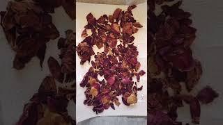 Drying out roses for spells & rituals ‍️#witch #roses #witchy #spells #rituals