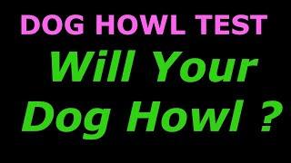 Dog Howl Test ~ Sounds To Make Your Dog Howl