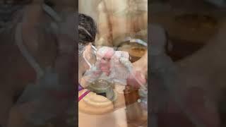 با پدیکور به پاهات جون دوباره میدی…#spa#pedicure #pedicuretutorial