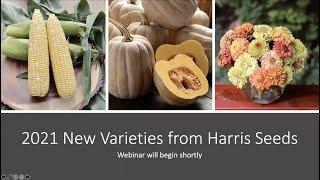 New Flower and Vegetable Seed Varieties from Harris Seeds (2021)