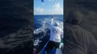 a good wahoo fish. fishing with Mario Emilio 