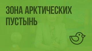 Зона арктических пустынь. Видеоурок по окружающему миру 4  класс