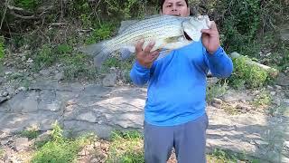 Late Summer White Bass Fishing In Oklahoma!!